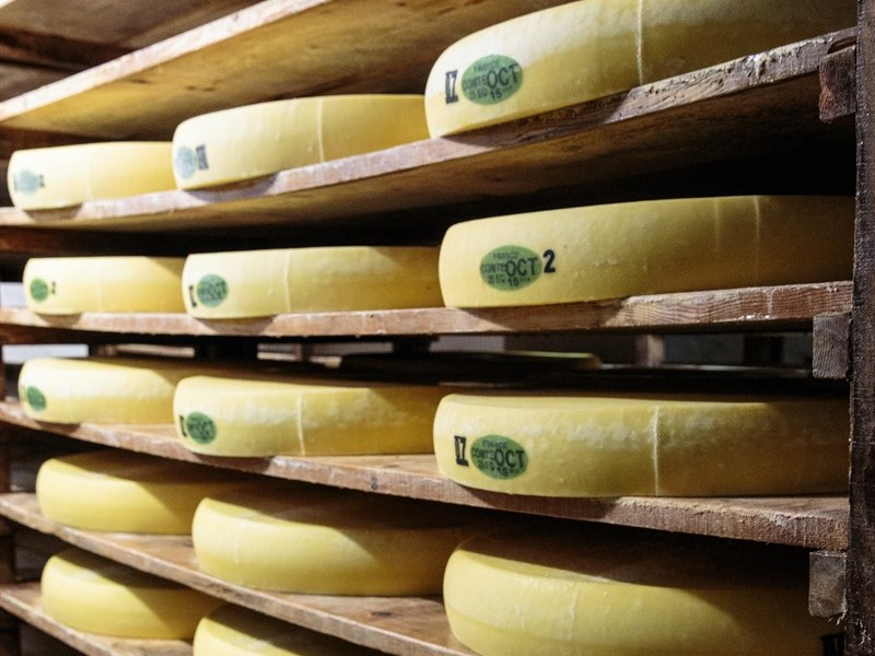 Comte Hartkäse im Vorreifungskeller