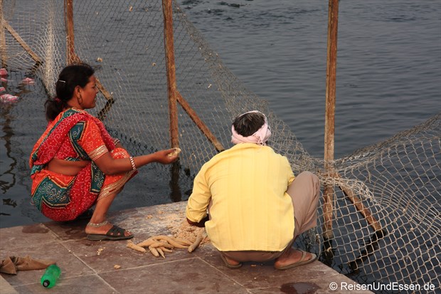 Fische Füttern am Man Sagar