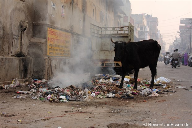 Read more about the article Unterwegs in den Straßen Jaipurs oder das Kontrastprogramm schlechthin