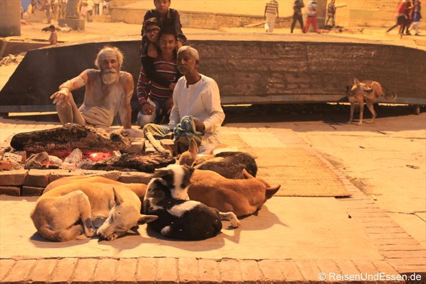 Gläubige und Hunde am frühen Morgen in Varanasi