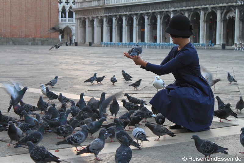 Tauben füttern auf dem Markusplatz