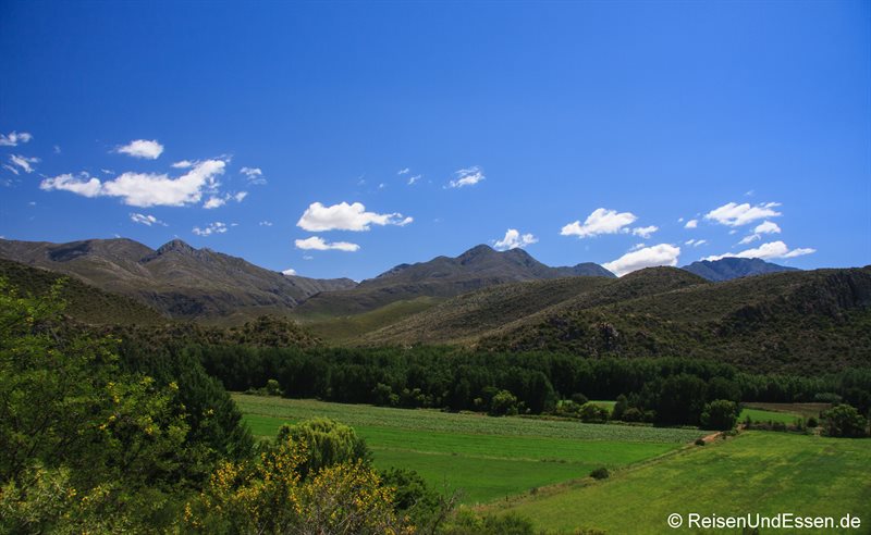 Landschaft in der Kleinen Karoo bei Oudtshoorn