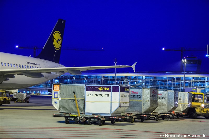 Gepäck für Flug TG 925 am Flughafen München