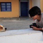 Fotoshooting mit Hund