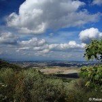 Blick von Montalcino