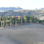Typisch Toskana - Unterwegs zwischen Montalcino und Pienza