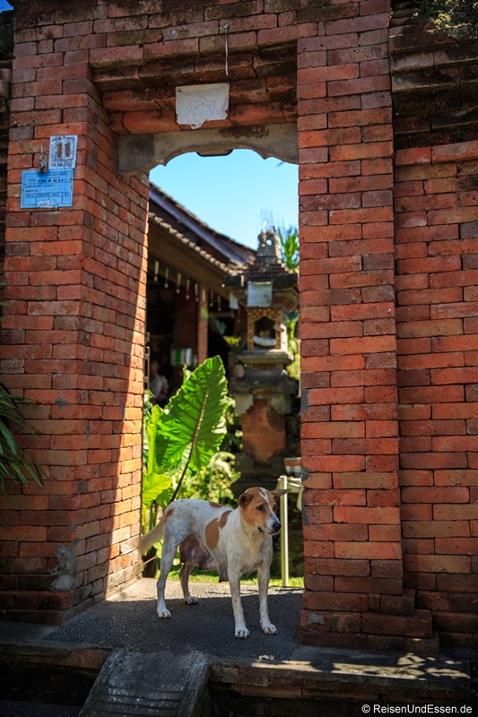Hauseingang in Ubud