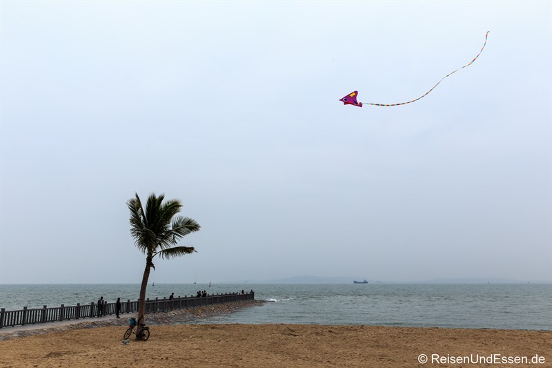 Drachen am Strand von Xiamen