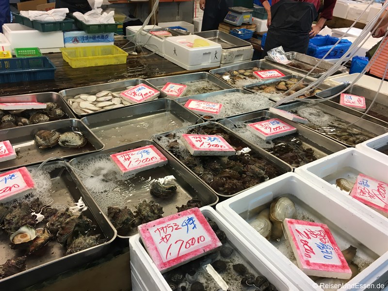 Frische Muscheln auf dem Tokio Fischmarkt