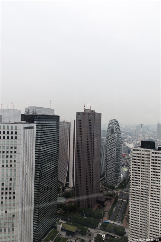 Blick auf Tokyo vom Government Building