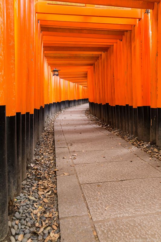 Menschenleeres Fushumi Inari in Kyoto