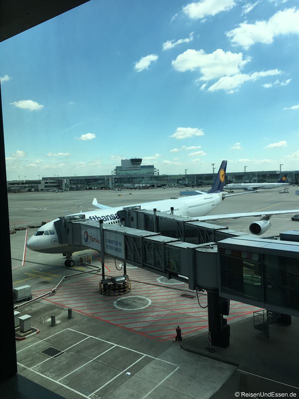 Lufthansa Airbus A340-300 am Gate in Frankfurt