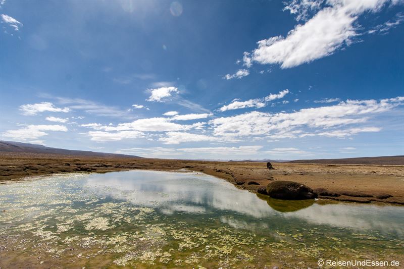 Teich auf dem Altiplano mit Spiegelung