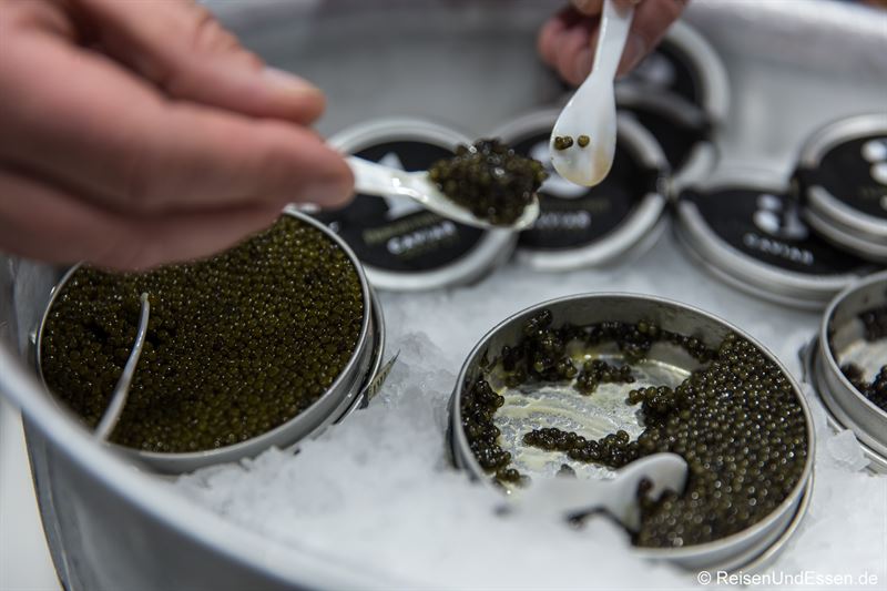 Verköstigung von Kaviar im Frischeparadies