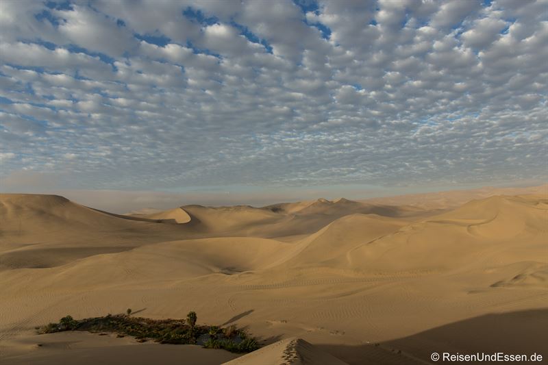 Blick am frühen Morgen auf die Sanddünen in Huacachina