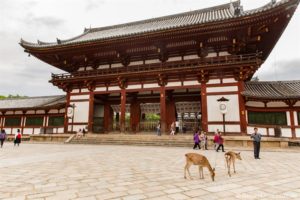 Read more about the article Nara – Hirsche und Tempel als Sehenswürdigkeiten