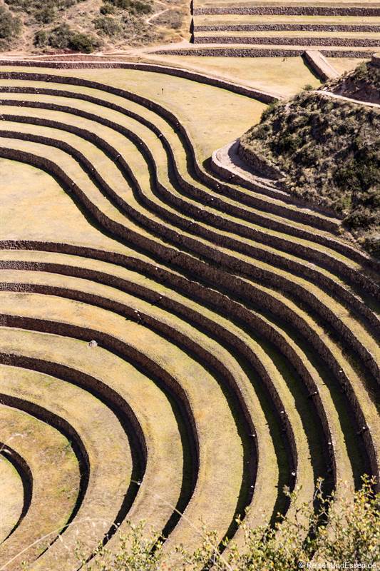 Terrassen der Inka in Moray
