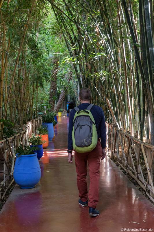 Allee mit Bambus im Jardin Majorelle in Marrakesch