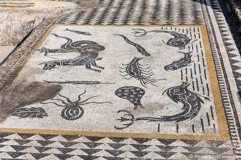 Mosaik im Haus des Orpheus