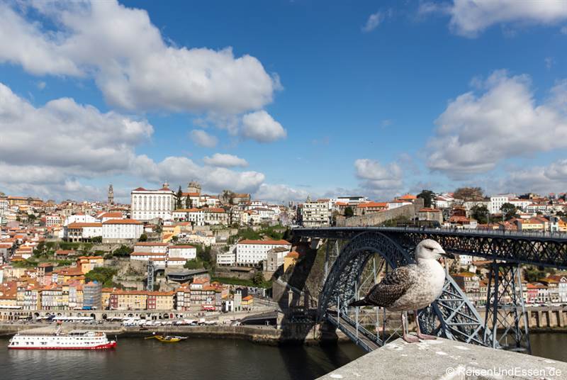 Read more about the article Porto – Sehenswürdigkeiten in der Barockstadt und Relaxen am Meer