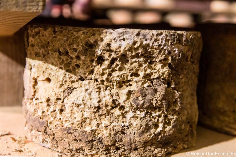 Reifer Käse Castelmagno im Käselager von La Meiro
