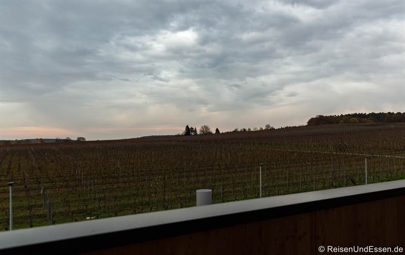 Aussicht vom Balkon auf die Weinberge im Sonnenhotel Weingut Römmert