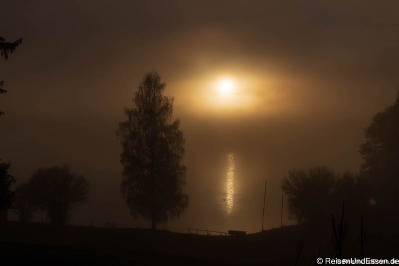 Sonnenaufgang am Forggensee bei Nebel - Fotoparade 2020