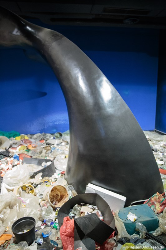 Umweltverschmutzung im Meer durch Plastik