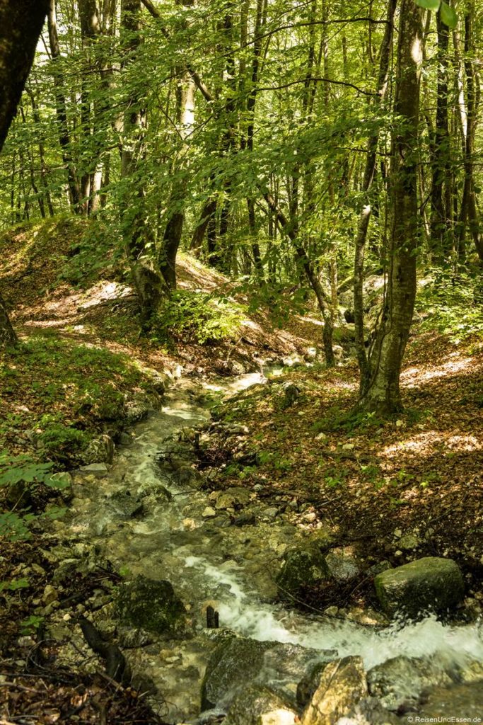 Bach durch den Wald an der Ponalestraße von Riva del Garda zum Ledrosee