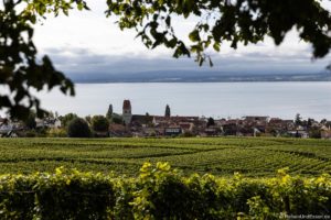 Hagnau – Genuss rund um Wein und Fisch