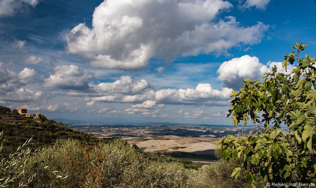 Aussicht von Montalcino - Fotospots in der Toskana
