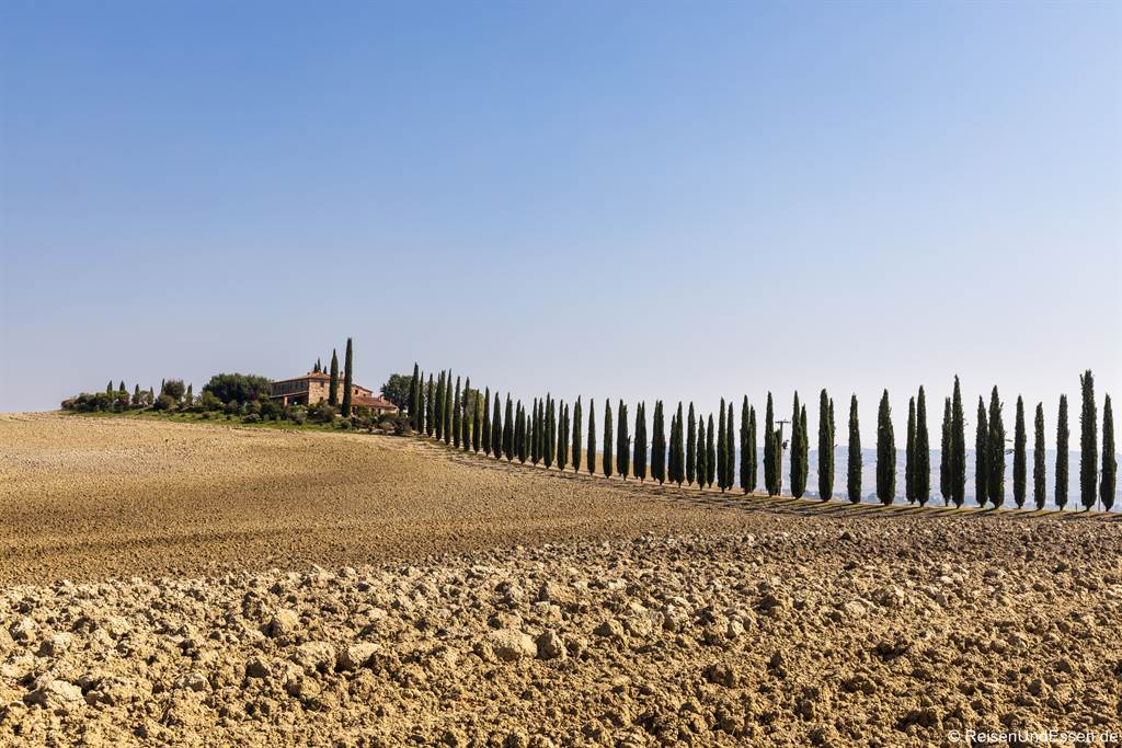 Zypressen und Bauernhof Poggio Covili bei Castiglione d'Orcia - Fotospots in der Toskana