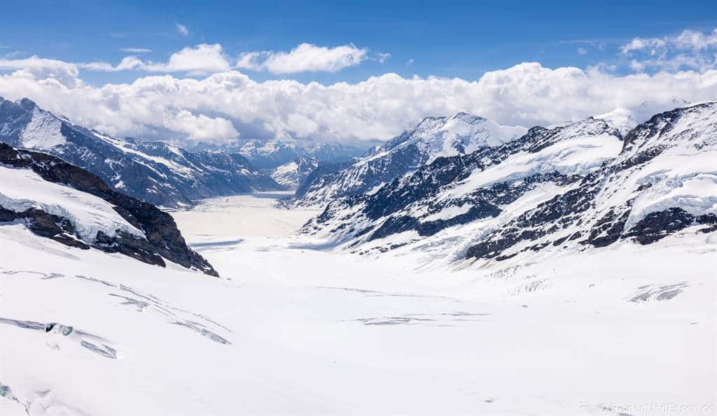 Blick vom Jungfraujoch auf den Aletschgletscher