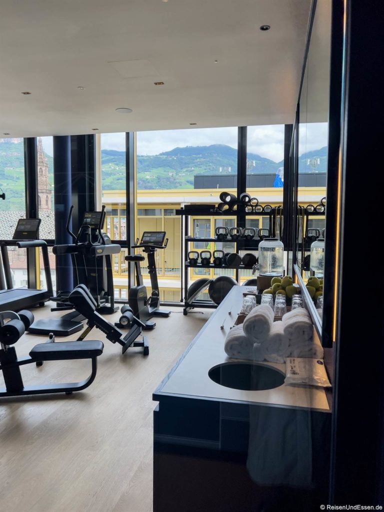 Modernes Fitnessstudio mit großen Fenstern mit Blick auf die malerischen Berge. Im Inneren befinden sich Heimtrainer, Laufbänder, Kraftgeräte, Hanteln, ein Regal mit weißen Handtüchern, Wasserflaschen, Äpfeln und ein Waschbecken auf einem schwarzen Tresen. Natürliches Licht durchflutet den sauberen, organisierten Raum.