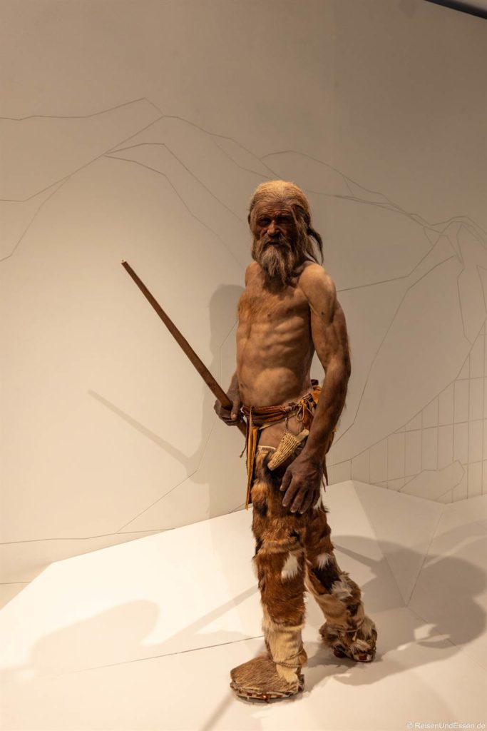 In einem Museum wird ein lebensechtes Modell eines prähistorischen Mannes mit Bart und langem Haar ausgestellt. Er trägt Pelz- und Lederkleidung, hält einen Stock in der Hand und steht vor einem schlichten Hintergrund mit schwachen Strichen, die auf eine historische oder archäologische Umgebung hindeuten. Das Archäologiemuseum ist eine der Sehenswürdigkeiten in Bozen.