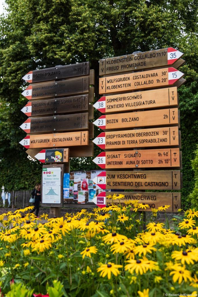 Hinter einem Beet mit gelben Blumen steht eine Gruppe bunter Wegweiser, die auf verschiedene Wanderwege und Ziele in unterschiedlichen Richtungen hinweisen. Im Hintergrund sind üppige grüne Bäume und Informationsplakate zu sehen.