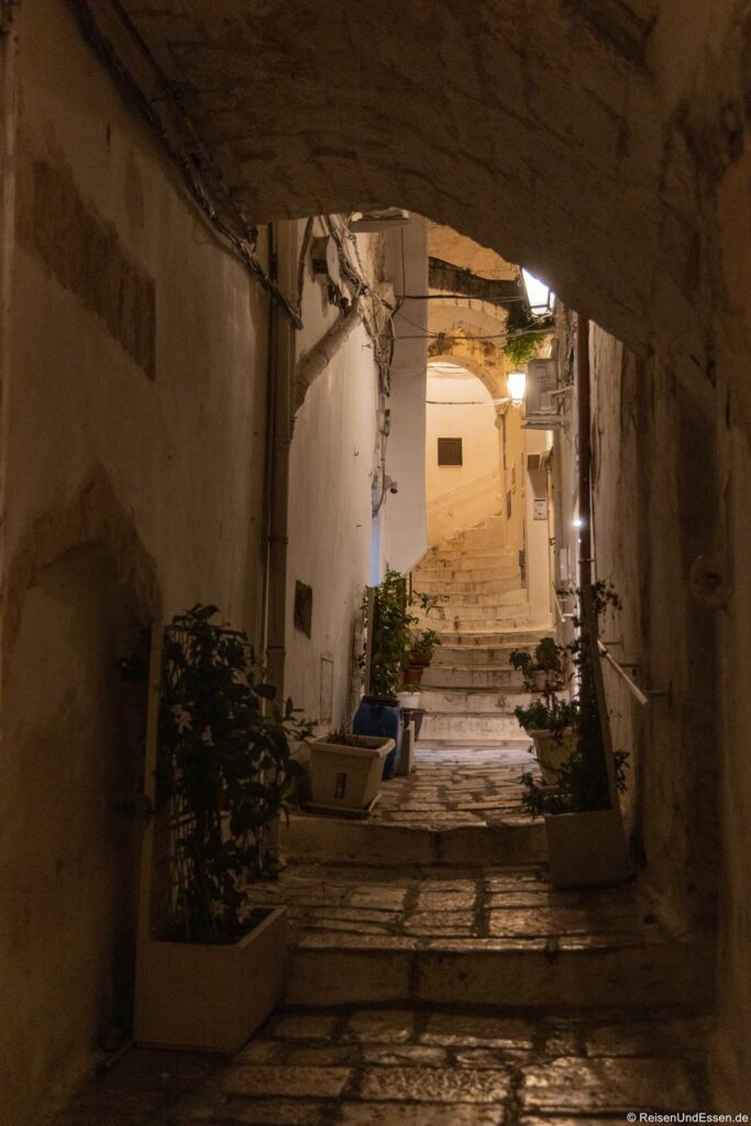 Eine schmale, stein gepflasterte Gasse bei Nacht, gesäumt von Topfpflanzen an den Wänden, die von warmem Licht beleuchtet werden. Der Durchgang führt zu einer Treppe, die zwischen weiß getünchten Gebäuden hinaufführt und eine gemütliche, einladende Atmosphäre schafft. Schatten und Bögen verleihen der Szene Tiefe.