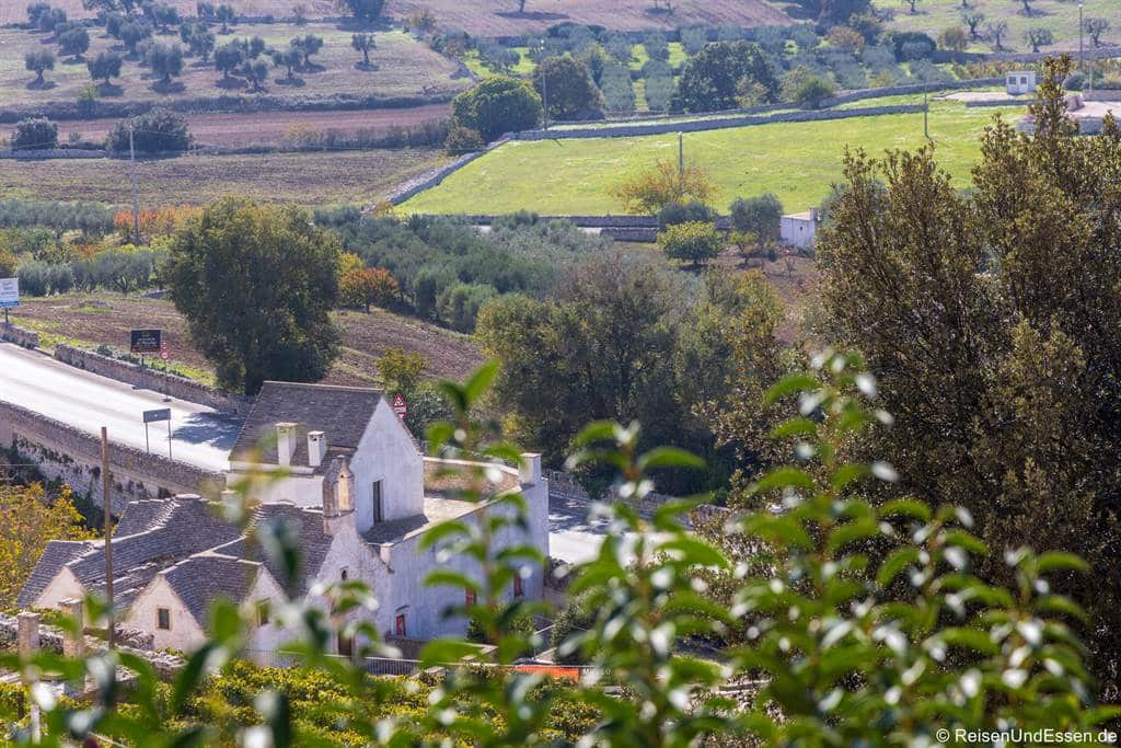 Ein weißes Haus mit kegelförmigem Dach steht an einer Straße und wird teilweise von grünem Laub verdeckt. Felder, Bäume und sanfte Hügel erstrecken sich im Sonnenlicht bis in die Ferne und zeigen eine friedliche ländliche Landschaft.